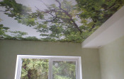 Image00045