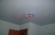 Image00016