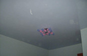 Image00017