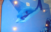 Image000022