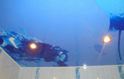 Image00003