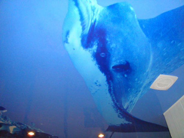 Image00019
